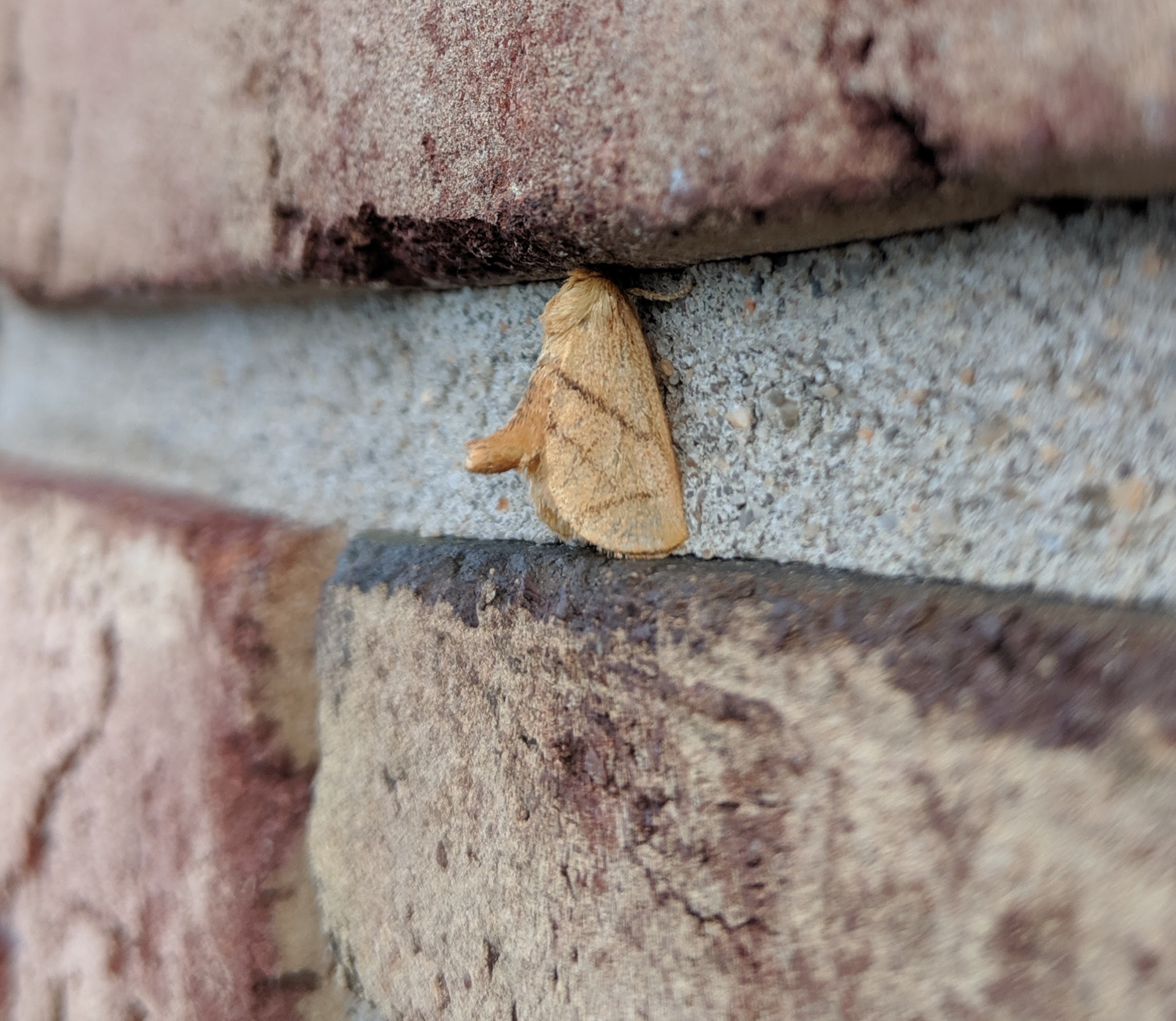 CUTE_20190619.jpg